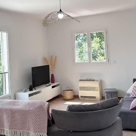 Villa Tamaris Καρκασόν Εξωτερικό φωτογραφία